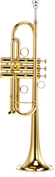 Carol Brass CTR-4000H-YSS-C-L