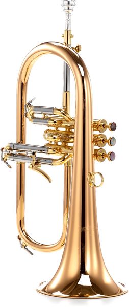 Carol Brass CFL-6200-GSS-Bb-L