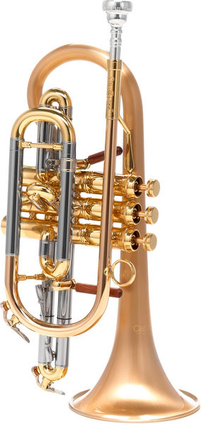 Carol Brass CCR-6882T-GSS-SLB
