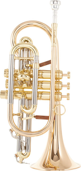 Carol Brass CCR-6882T-GSS-L
