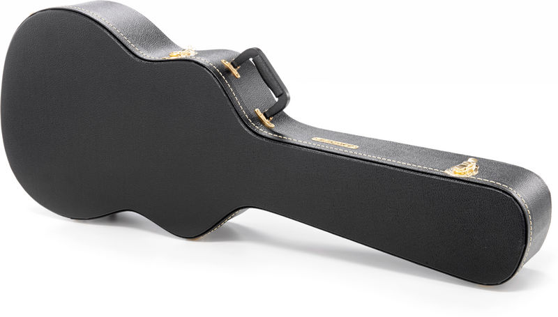 Gretsch G6295 Case