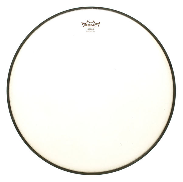 Remo 11" Renaissance High Collar