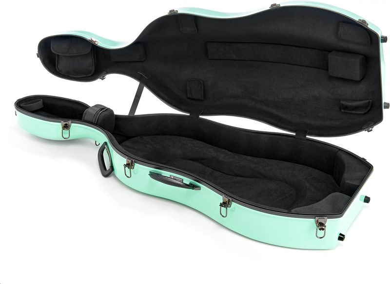 JW-eastman CE133 4/4 Cello Case PPG