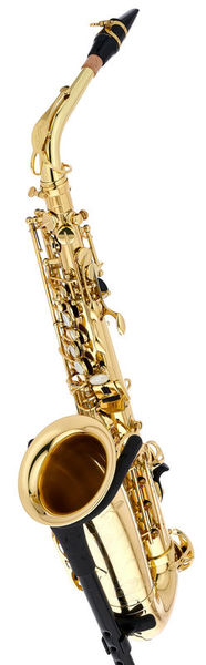 SeleS by Selmer Axos Alto Sax