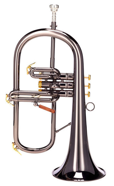 Carol Brass CFL-6200-GSS-Bb-BG Blackhawk