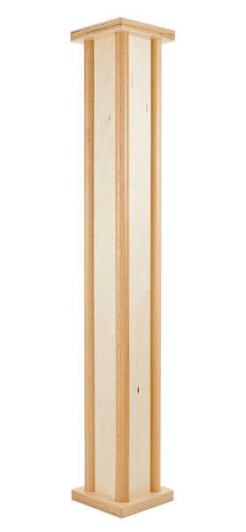 Meinl PRORM1NT Pro Rainmaker