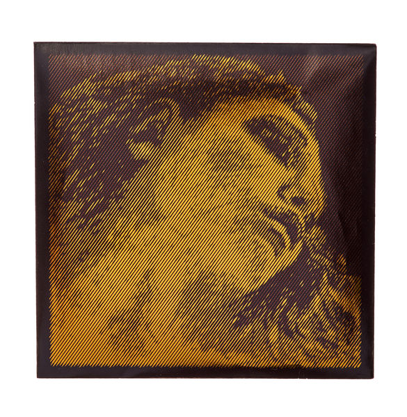 Pirastro Evah Pirazzi Gold E Violin LP