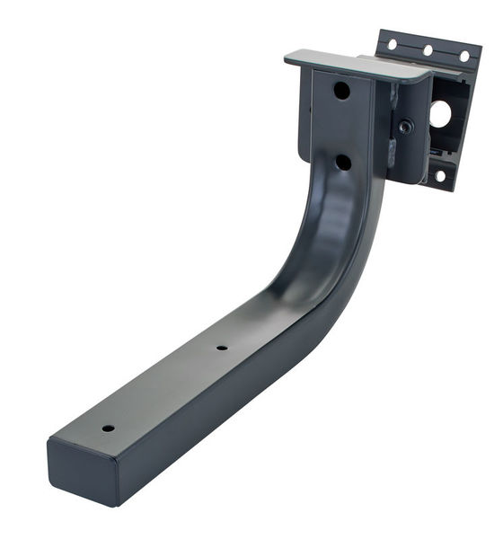 Bose WBP-8 802 Wallmount BiPivot B
