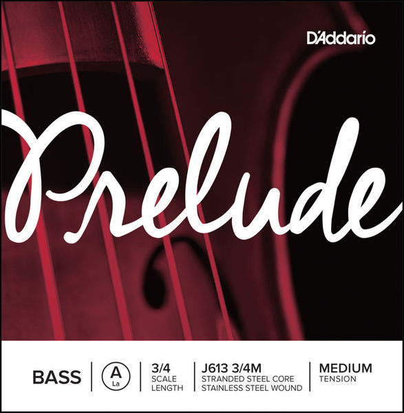 Daddario J613-3/4M Prelude Bass A med.