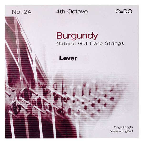 Bow Brand Burgundy 4th C Gut Str. No.24