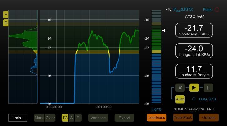 Nugen Audio VisLM