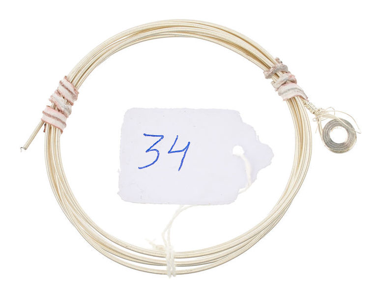 Roth & Junius Antonia Harp String No. 34