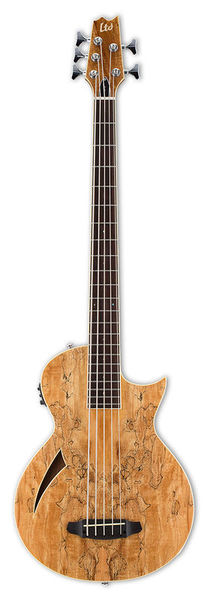 ESP LTD TL - 5SM Natural Gloss