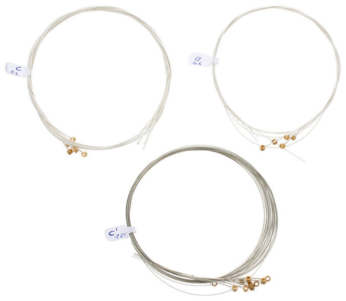 Allton Strings for Tambura Chord 21