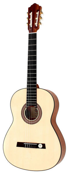 Höfner HF-13