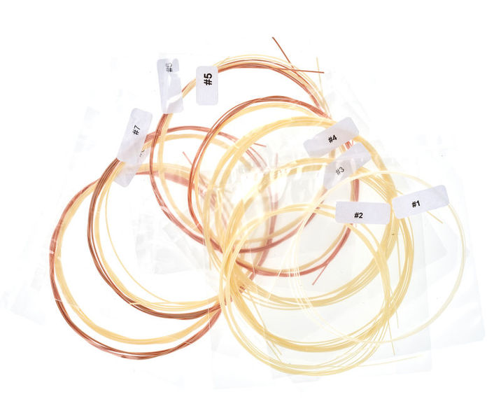 Aquila Renaissance Lute Strings 8C