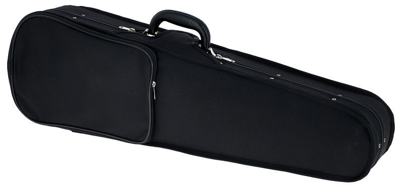 Roth & Junius RJVC Violin Hardcase 4/4