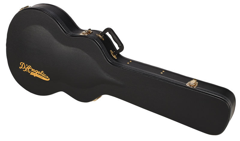 DAngelico Deluxe DC Case