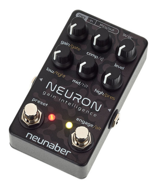 Neunaber Neuron Gain Intelligence