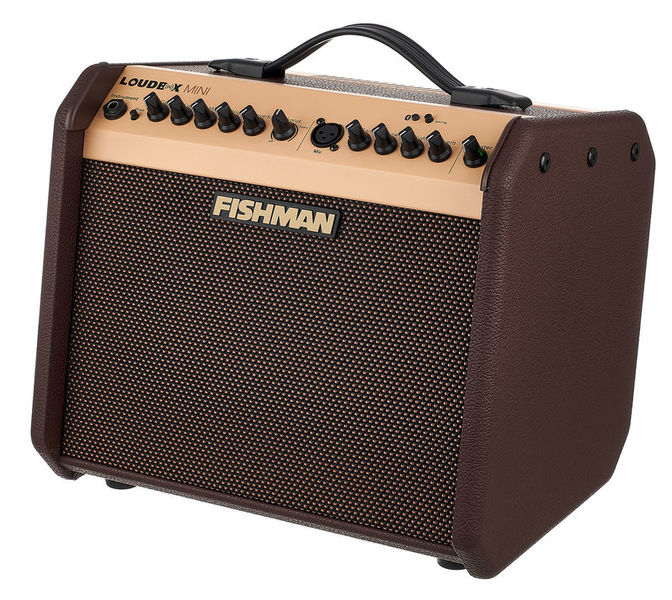 Fishman loudbox mini 14134982_800