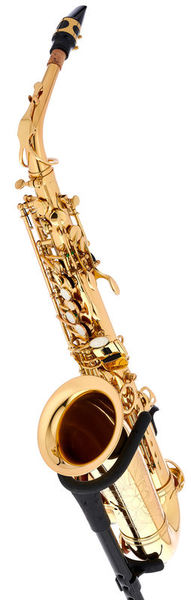 Schagerl A-900L Academica Alto Sax