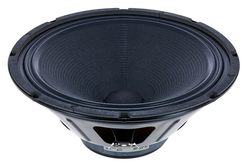 ampeg 10 inch replacement speakers