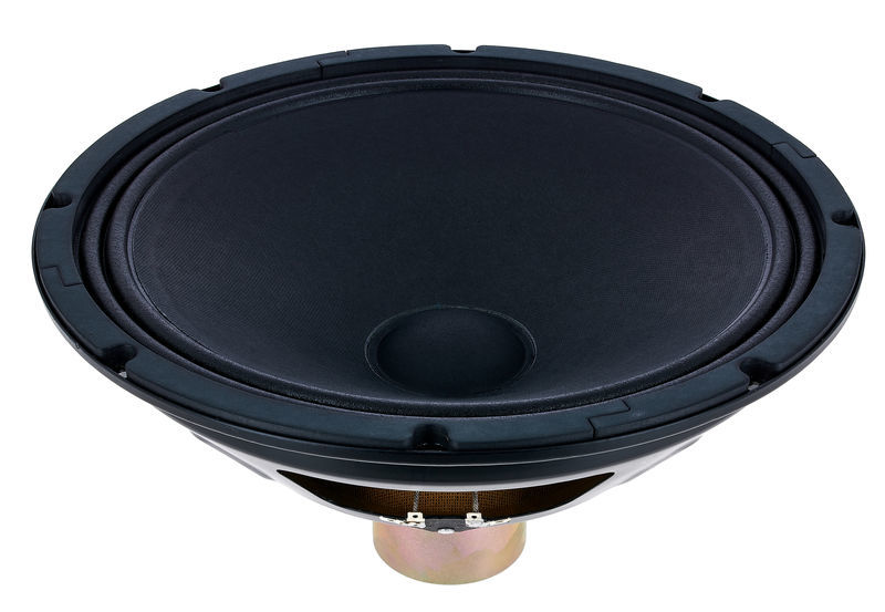 ampeg replacement speakers