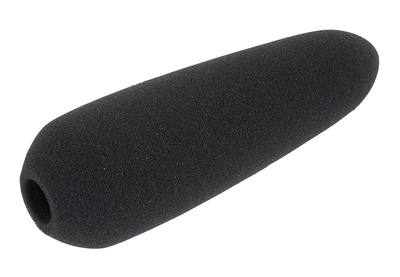 Sennheiser MZW66