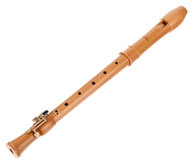 2246 Canta Alto Recorder
