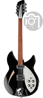 Rickenbacker 330/12 JG