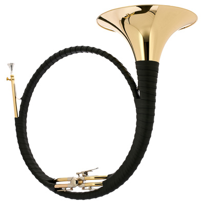Parforce Horn Eb/Bb 18260
