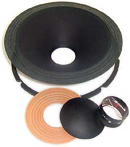 EV DL 10 X Recone