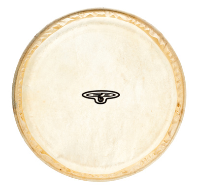 CP221A Bongo Head 6"