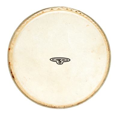 CP221B Bongo Head 7"