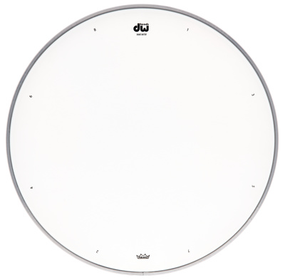 DW 13" Coated Snare Drum Head
