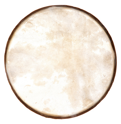 Studio 49 EF250 Drum Head for RT250