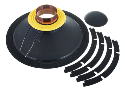 R18 P300-8 Ohm Reconekit