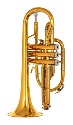 3142/2-GL Brochon Bb-Cornet