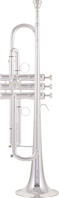 Topline Bb-Trumpet Brass S