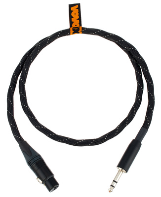 link protect S100 TRS/XLRf