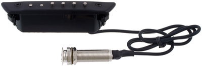 MSP-50 ENN