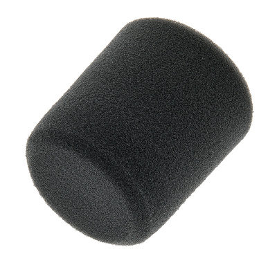 A1WS