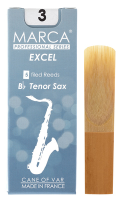 Excel Tenor Saxophone 3.0