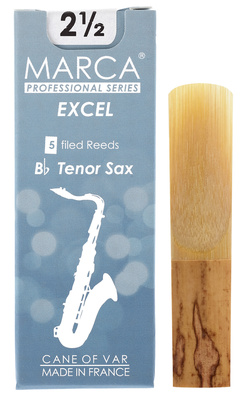 Excel Tenor Saxophone 2.5