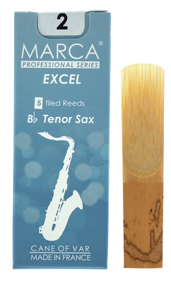 Excel Tenor Saxophone 2.0