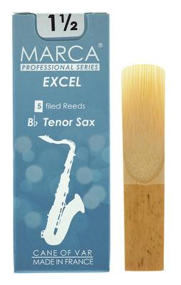 Excel Tenor Saxophone 1.5