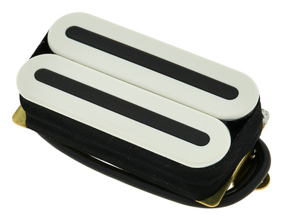 D Activator X Neck DP 221 WH