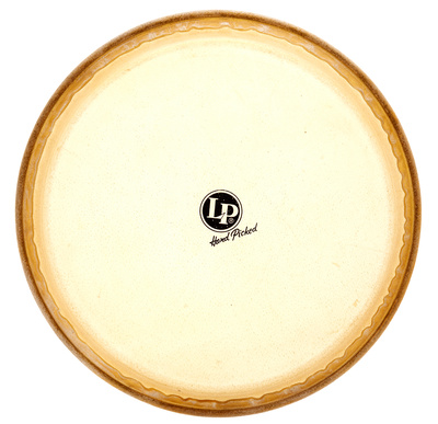 265C 12 1/2" Conga Head