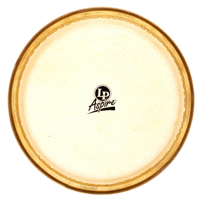 A640A 10" Aspire Conga Head
