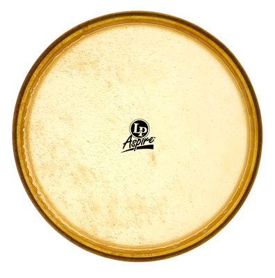 A640C 12" Conga Head Aspire